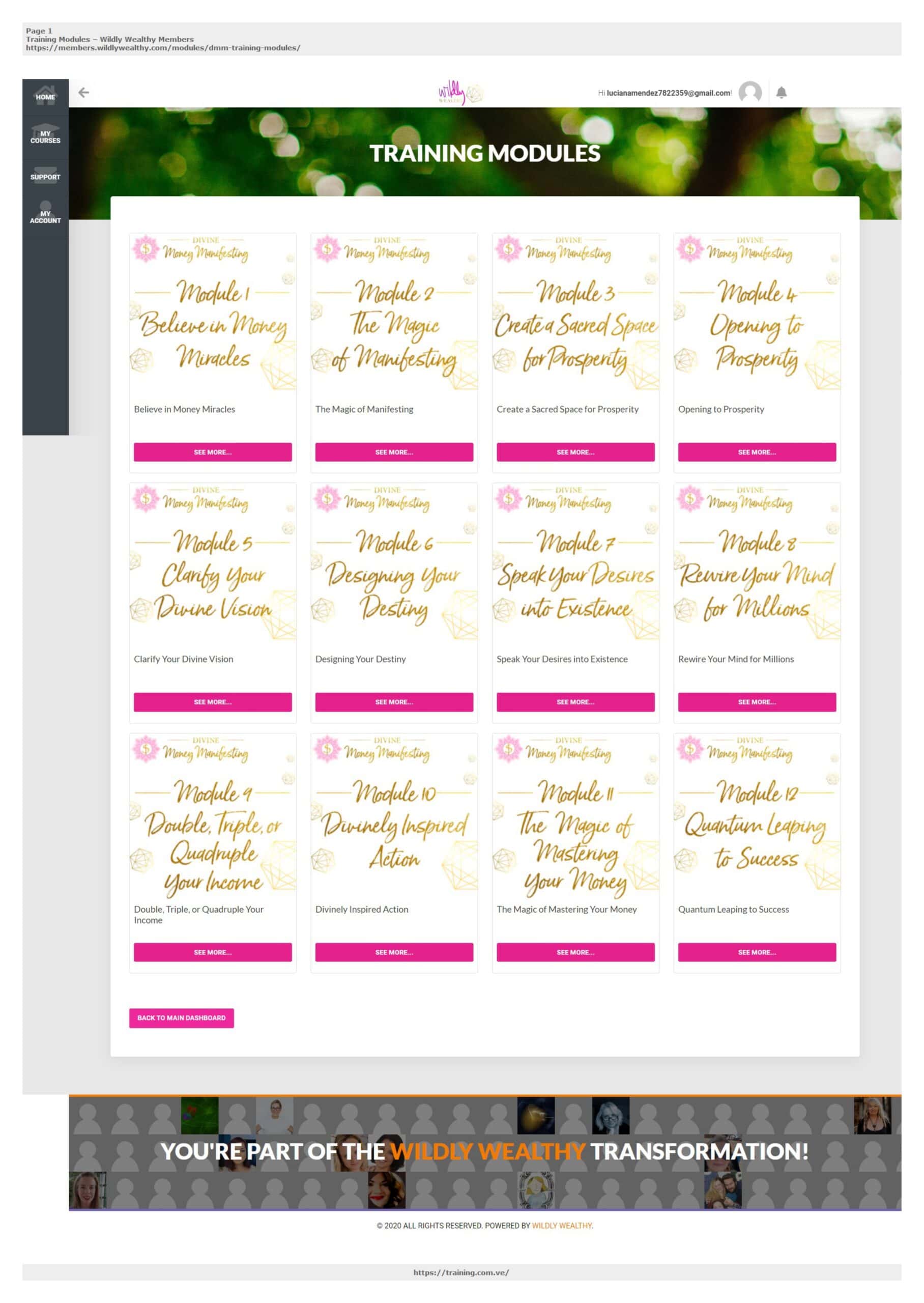 Course screenshot 18